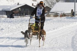 Lenk 2012 SM
